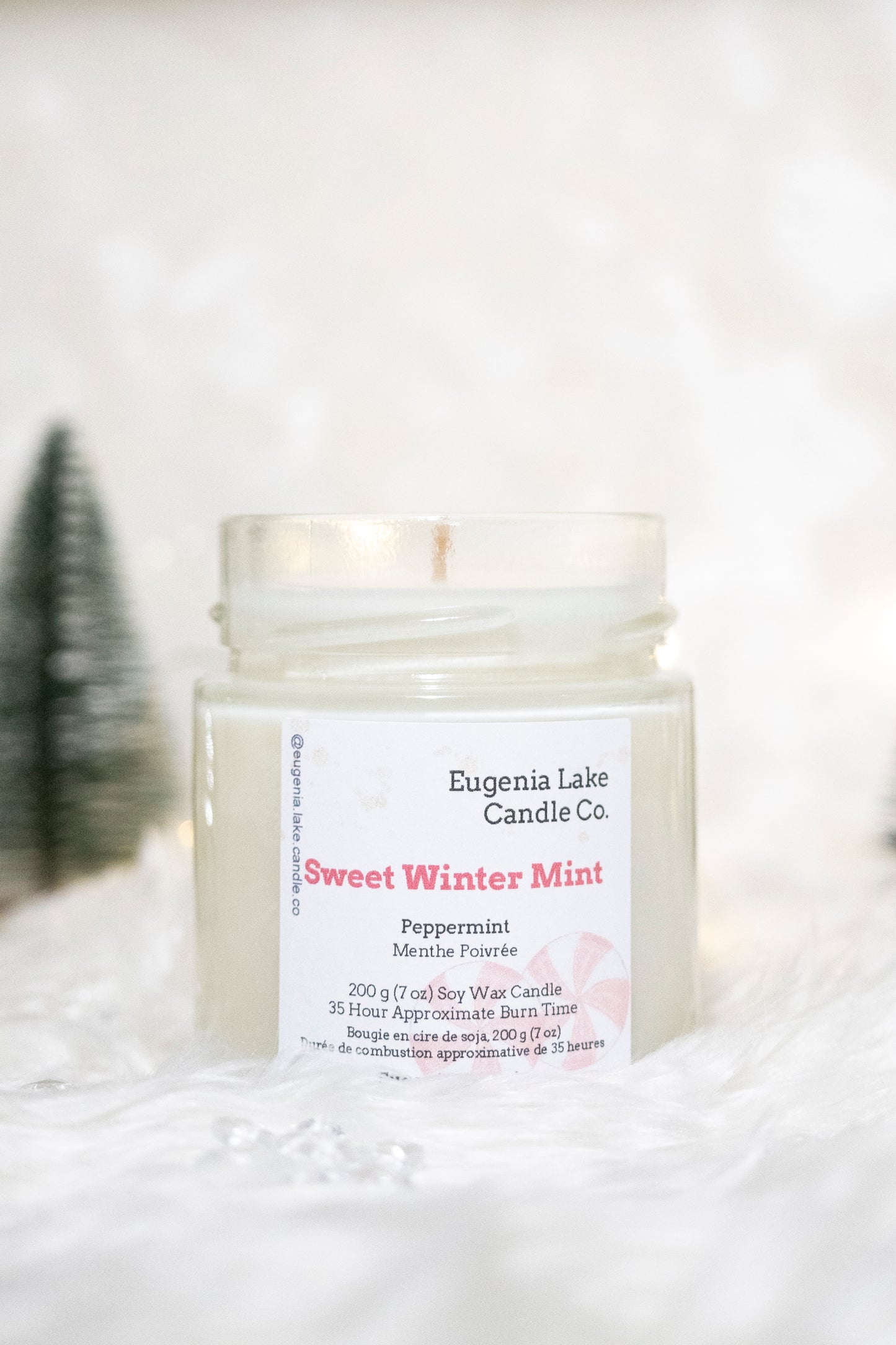 Sweet Winter Mint Soy Wax Candle