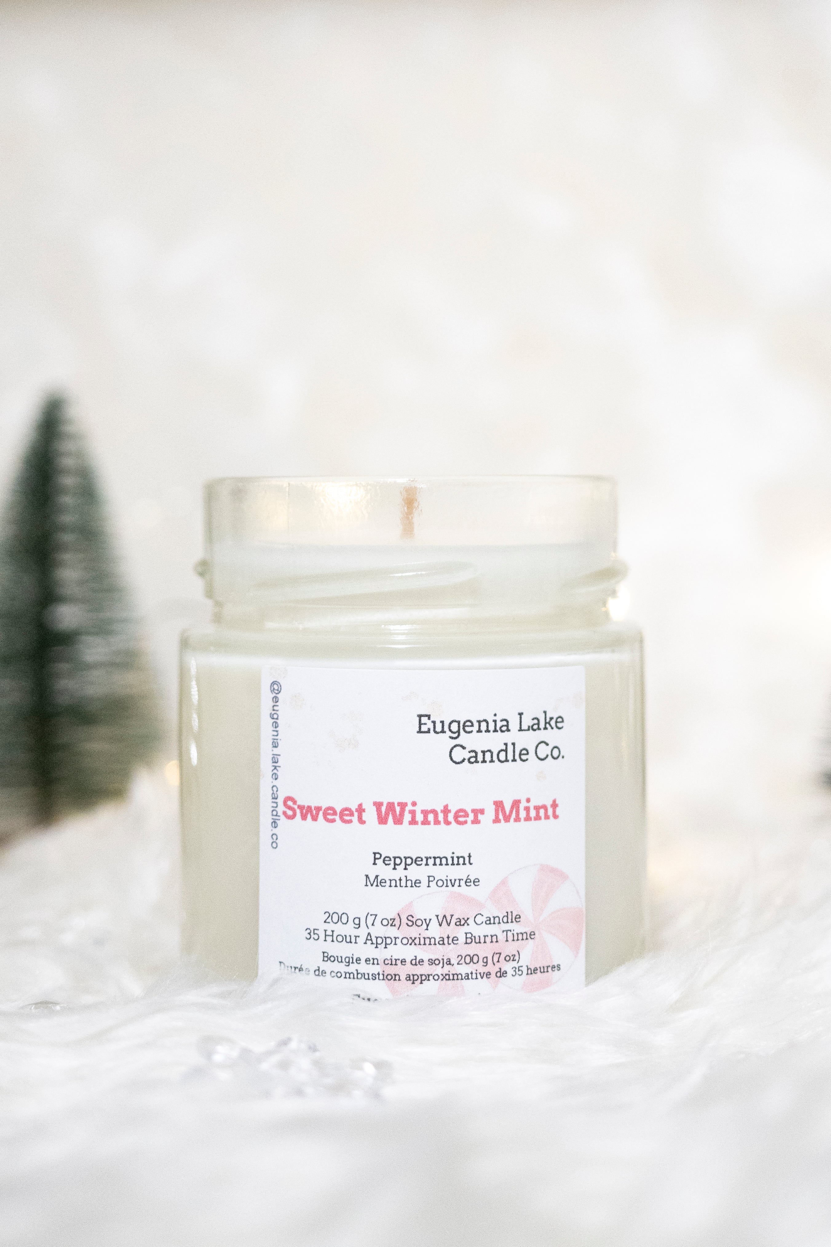 Sweet Winter Mint Soy Wax Candle